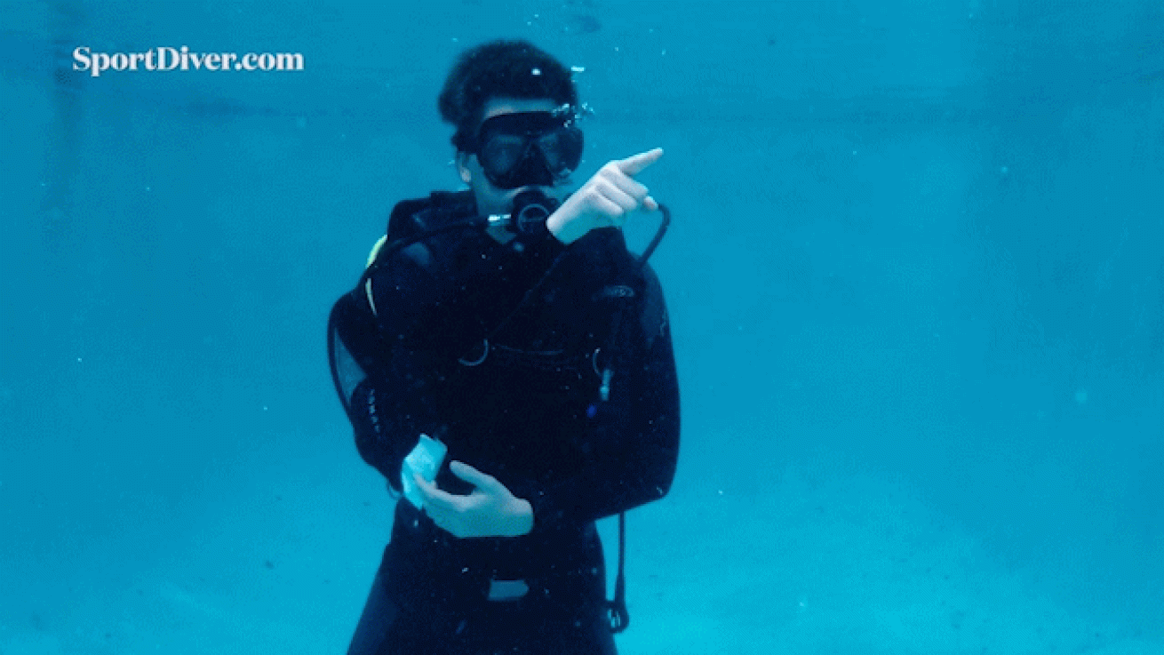 scuba diving hand signals