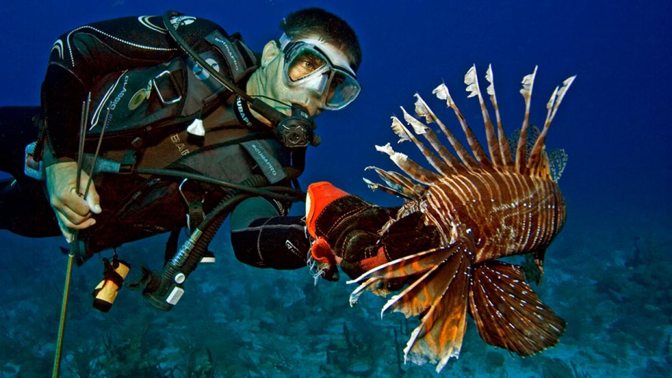 reef lionfish derby