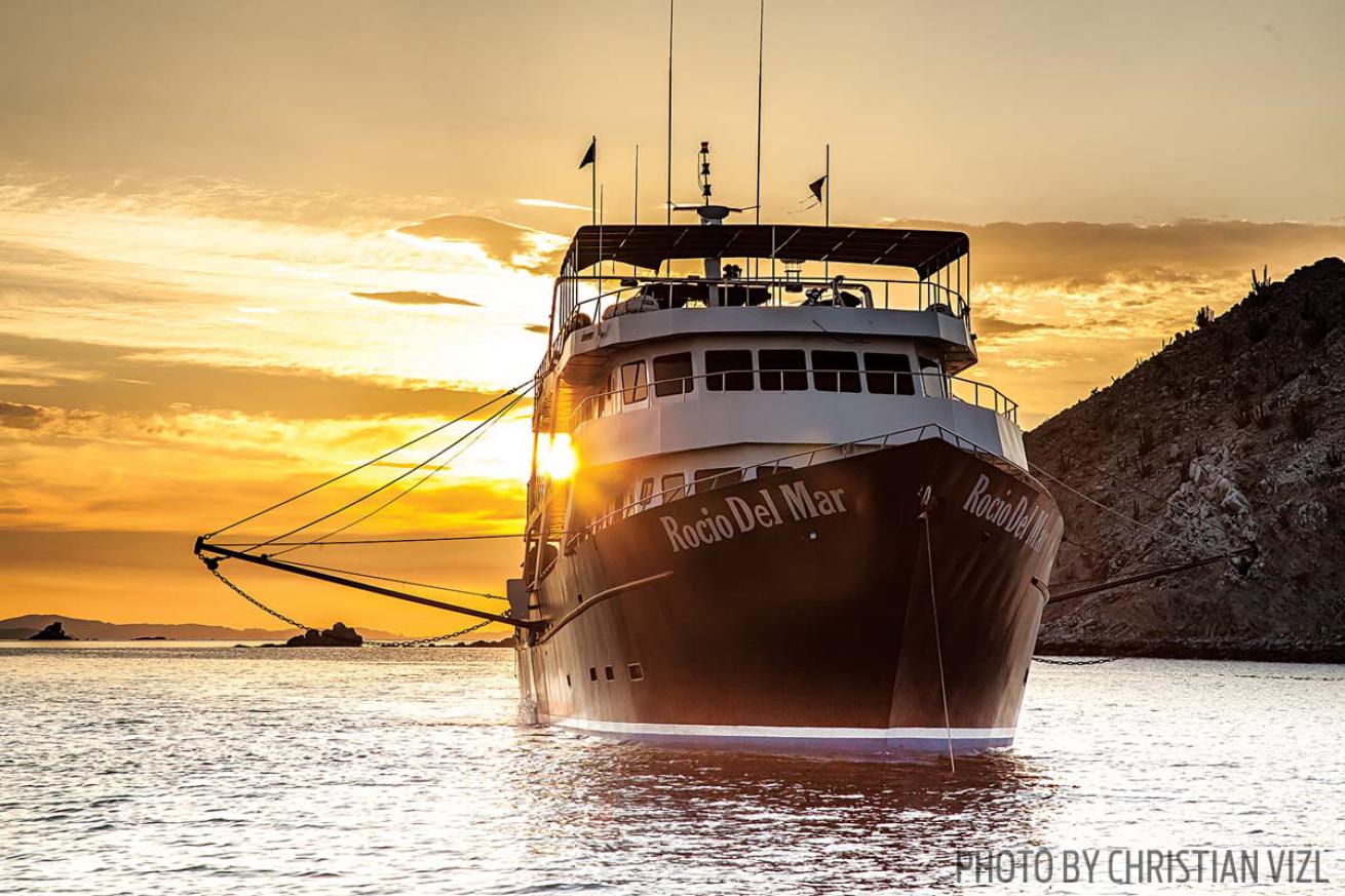 Rocio Del Mar liveaboard scuba diving