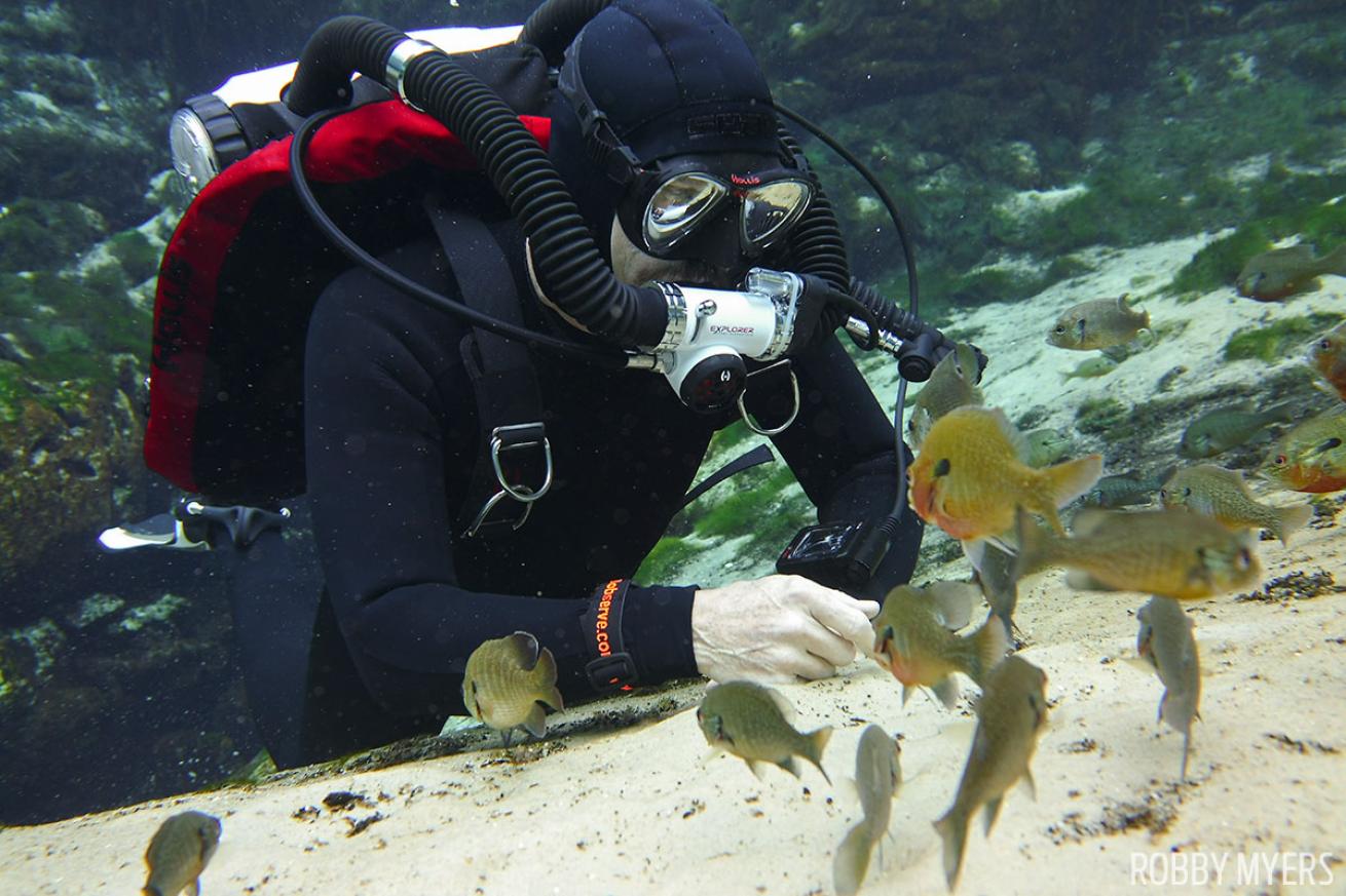 Bluegill freshwater scuba diving Florida SeaLife Cameras