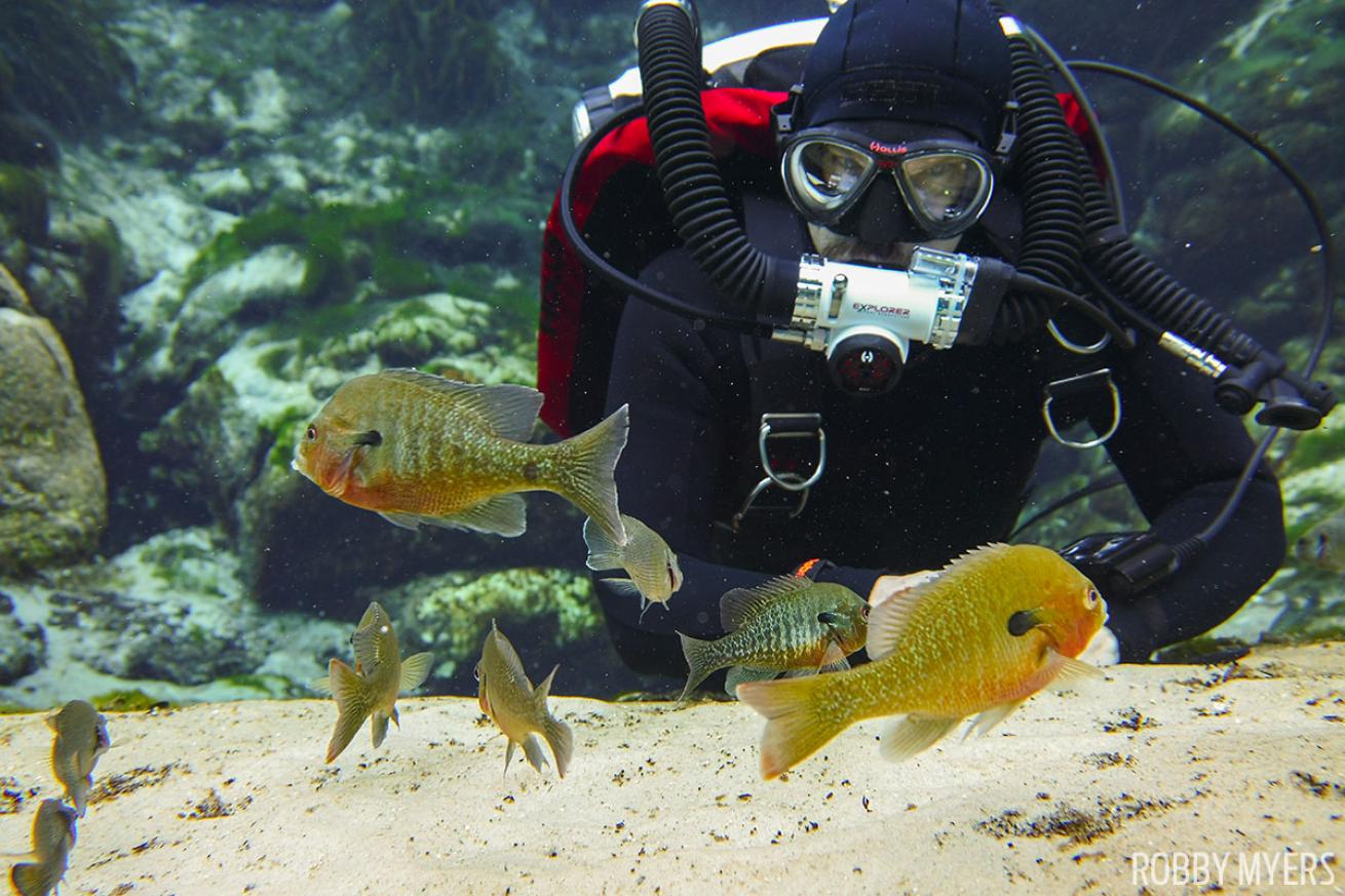 Hollis Rebreather diving with a SeaLife Camera