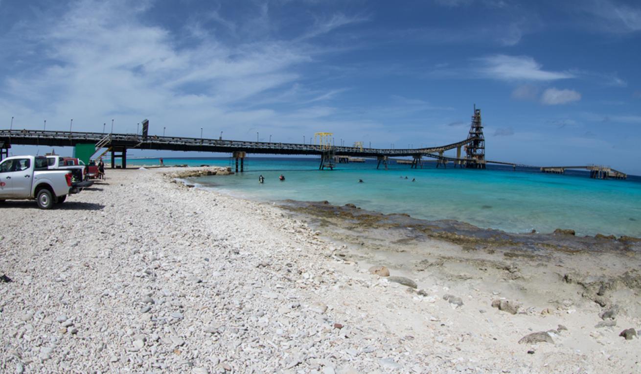 salt pier bonaire diving
