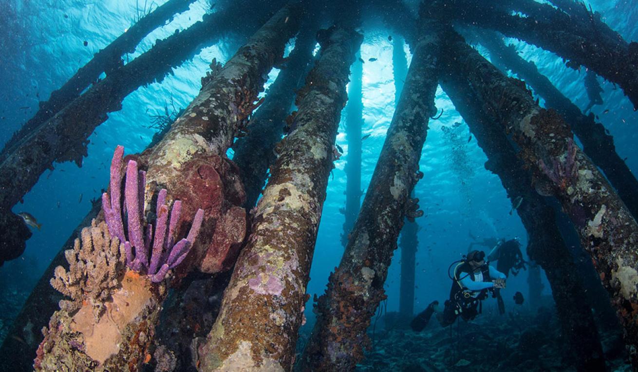 Salt Pier Bonaire
