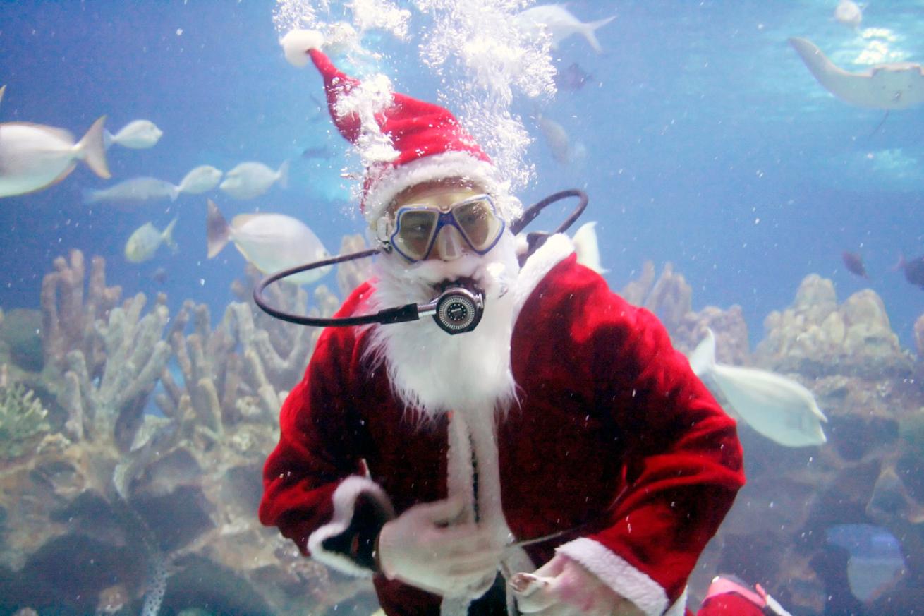 Santa scuba diving