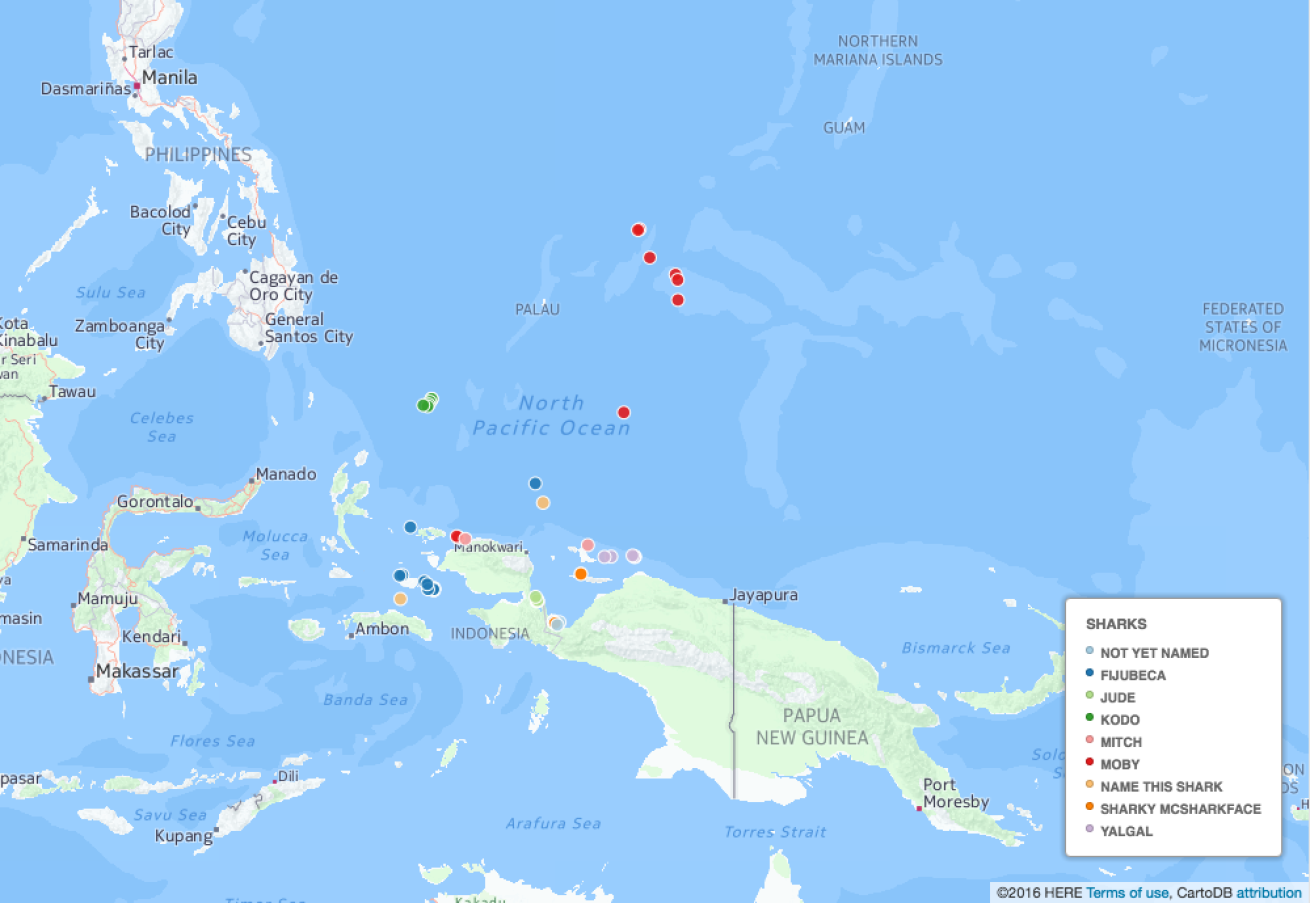 whale shark tracking map Conservation International
