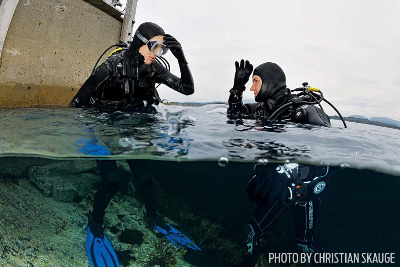 Scuba divers at the surface