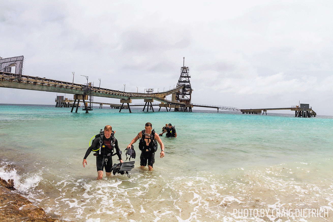 scuba divers exiting shore dive