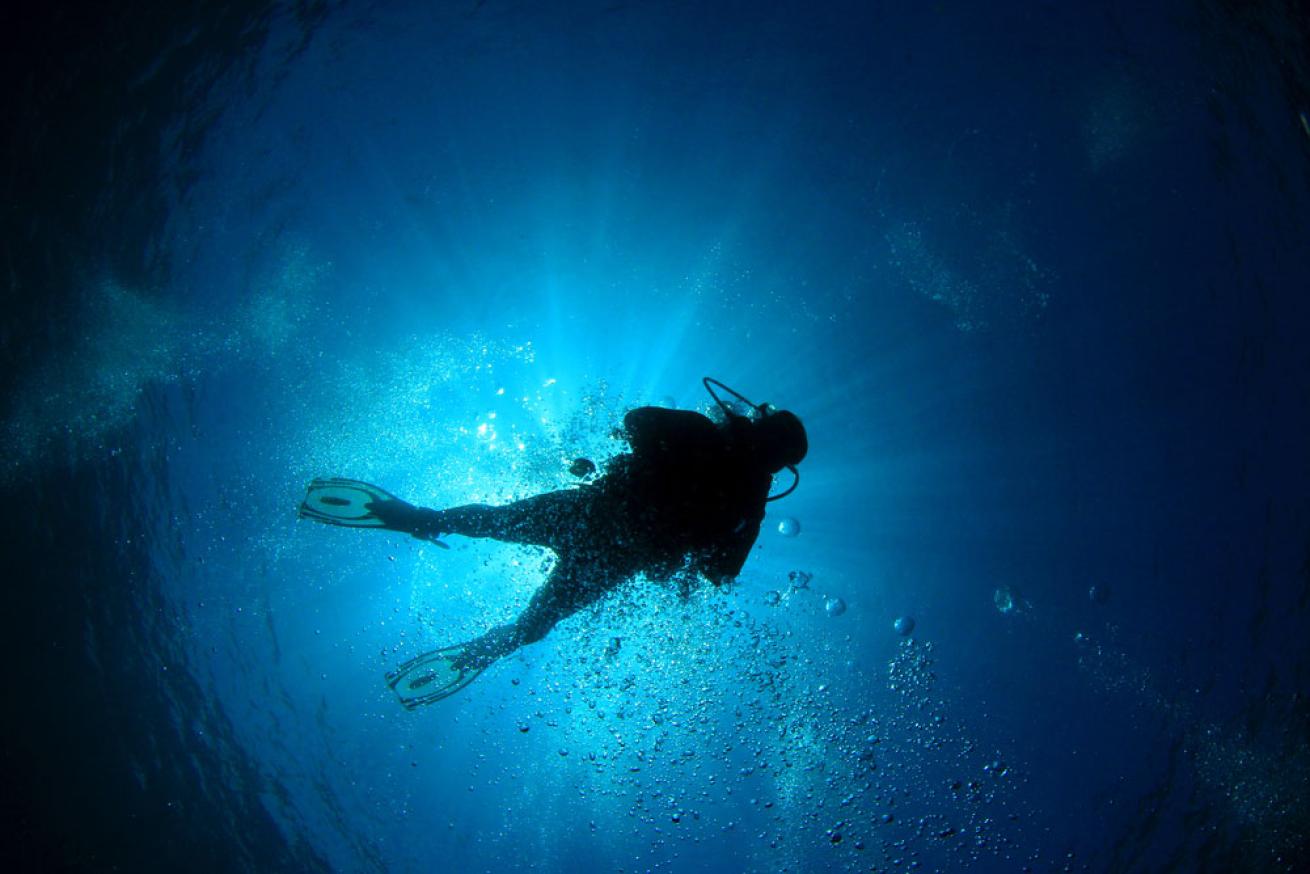 scuba diver deaths
