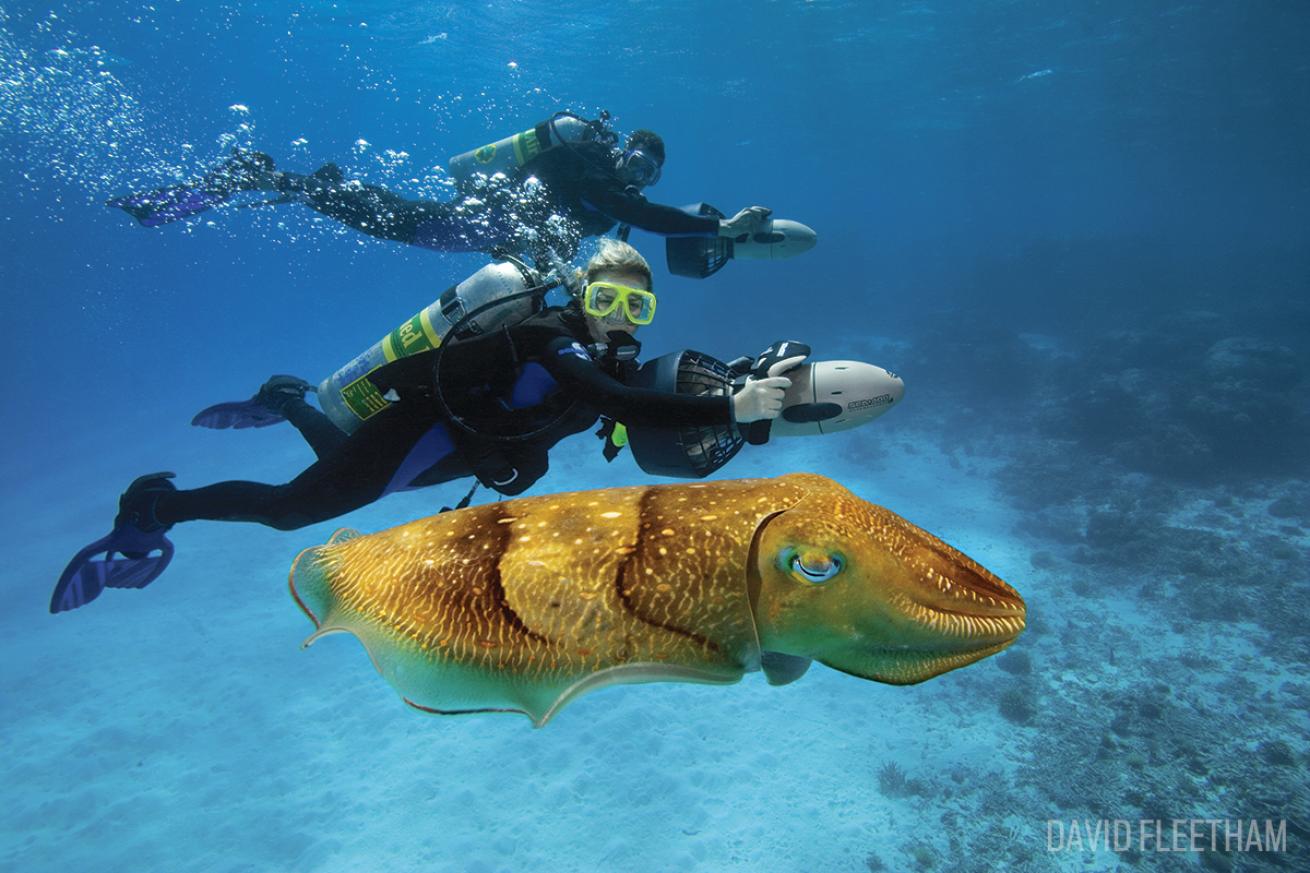 scuba diving hawaii scooter dpv