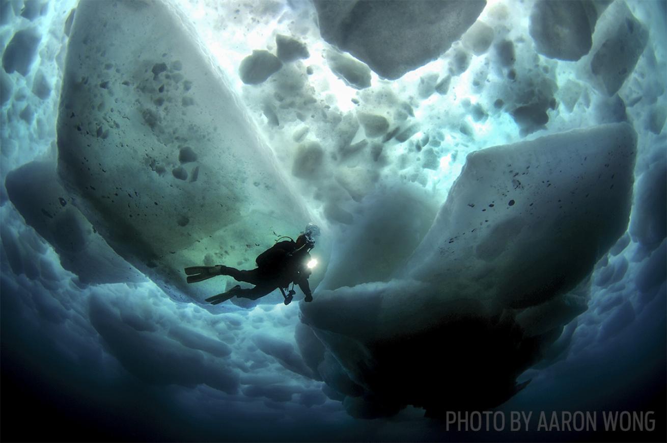 scuba diving ice diving