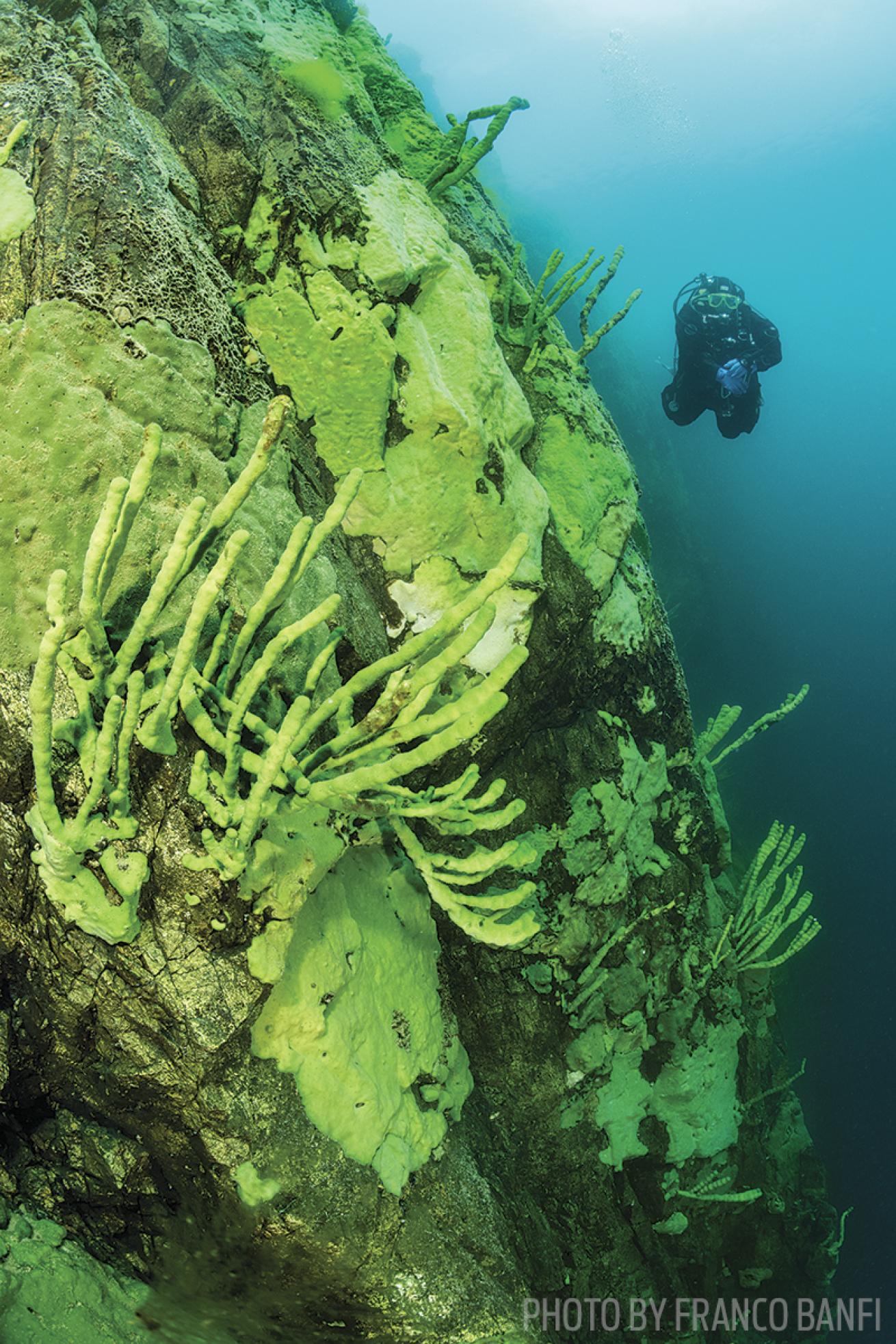 scuba diving lake baikal