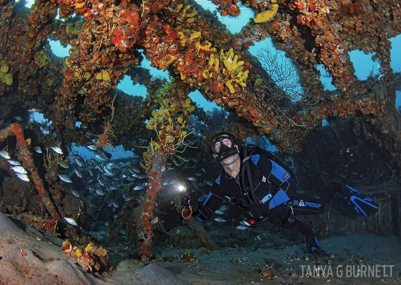 Scuba diver exploring the Mizpah shipwreck in Palm Beach, Florida
