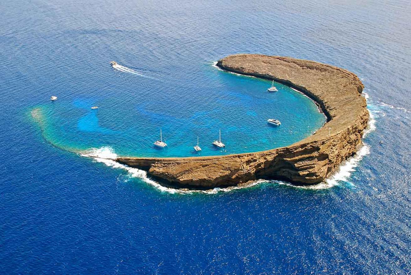 molokini diving