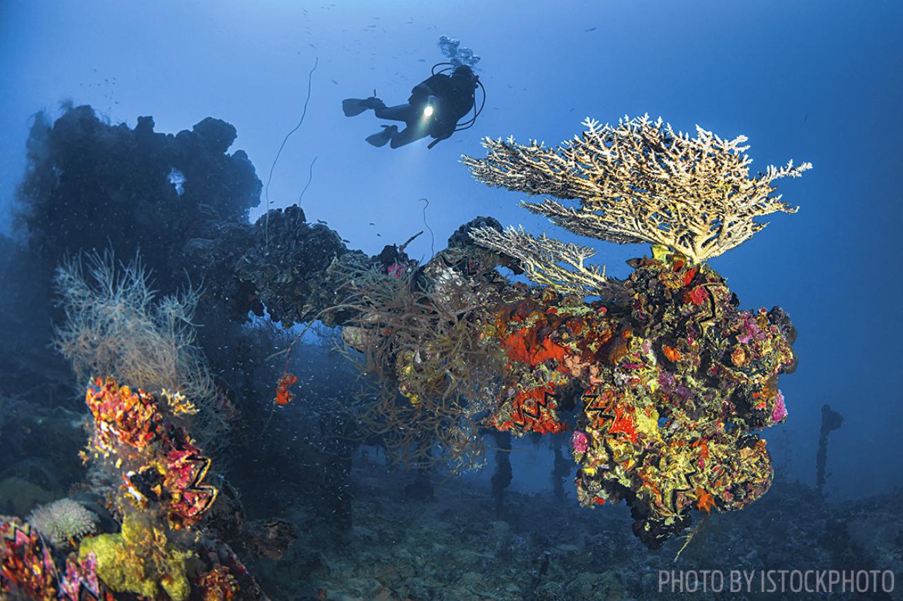 wreck scuba diving