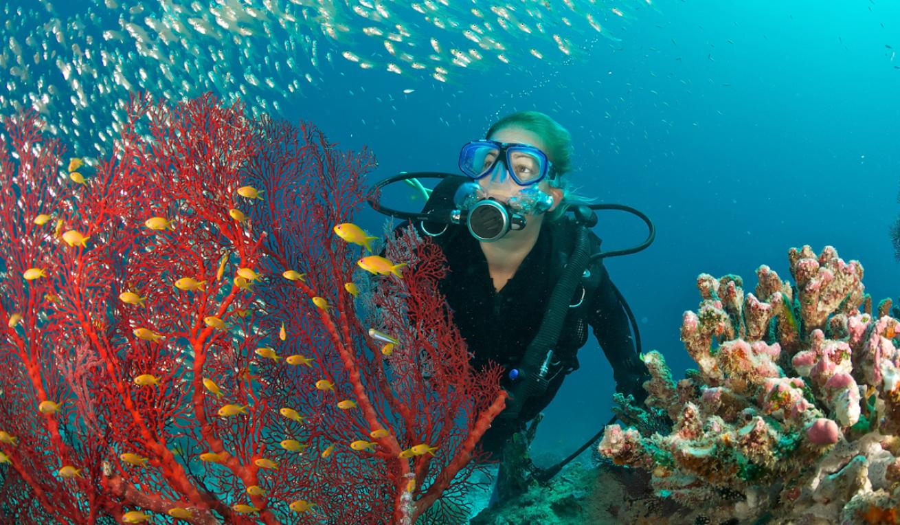 Seychelles Diving