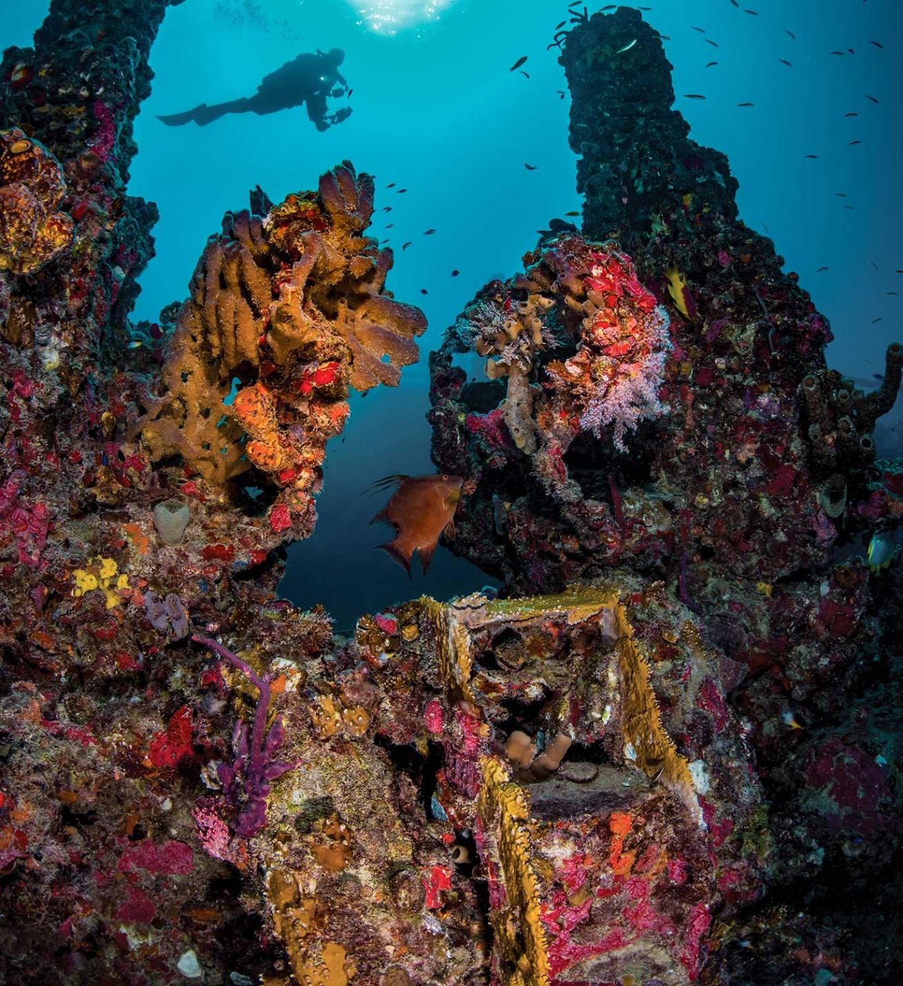 Exploring shipwreck