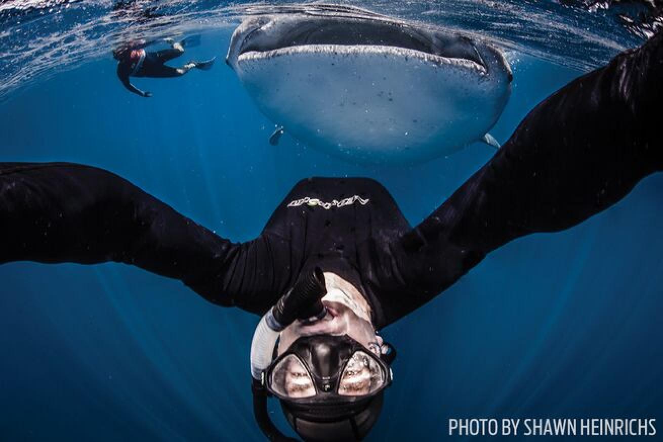 Taking photos of divers is one thing, but it’s even better when you’re the subject. Work on timing the perfect selfie by picking a marine animal you’d like to include in the shot, and studying its movement patterns and trajectory. Style points always count with selfies, so be creative.