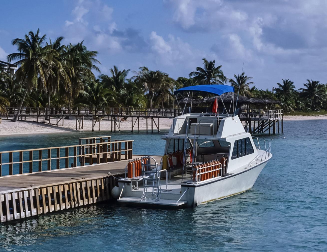 Sea Save Auction 2019
