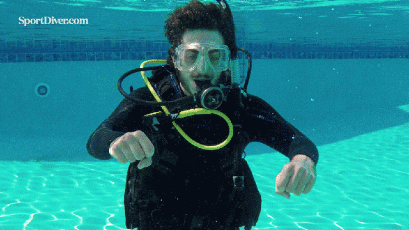 Seahorse hand signal