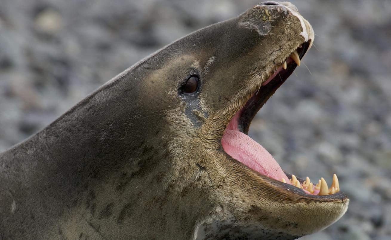 seal usb