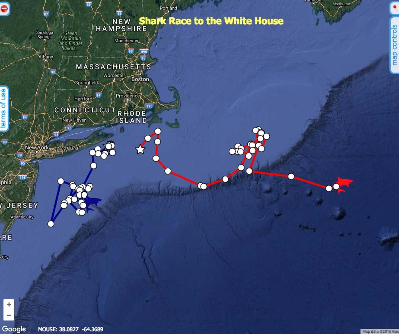 shark presidential race prediction