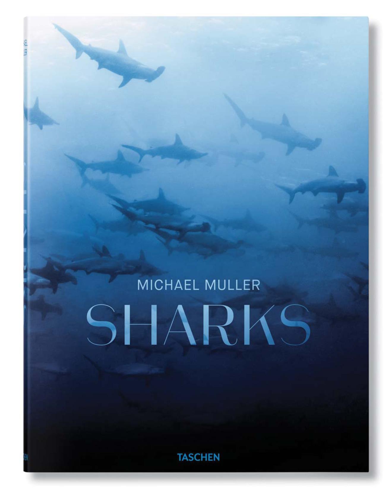 Sharks book Michael Muller
