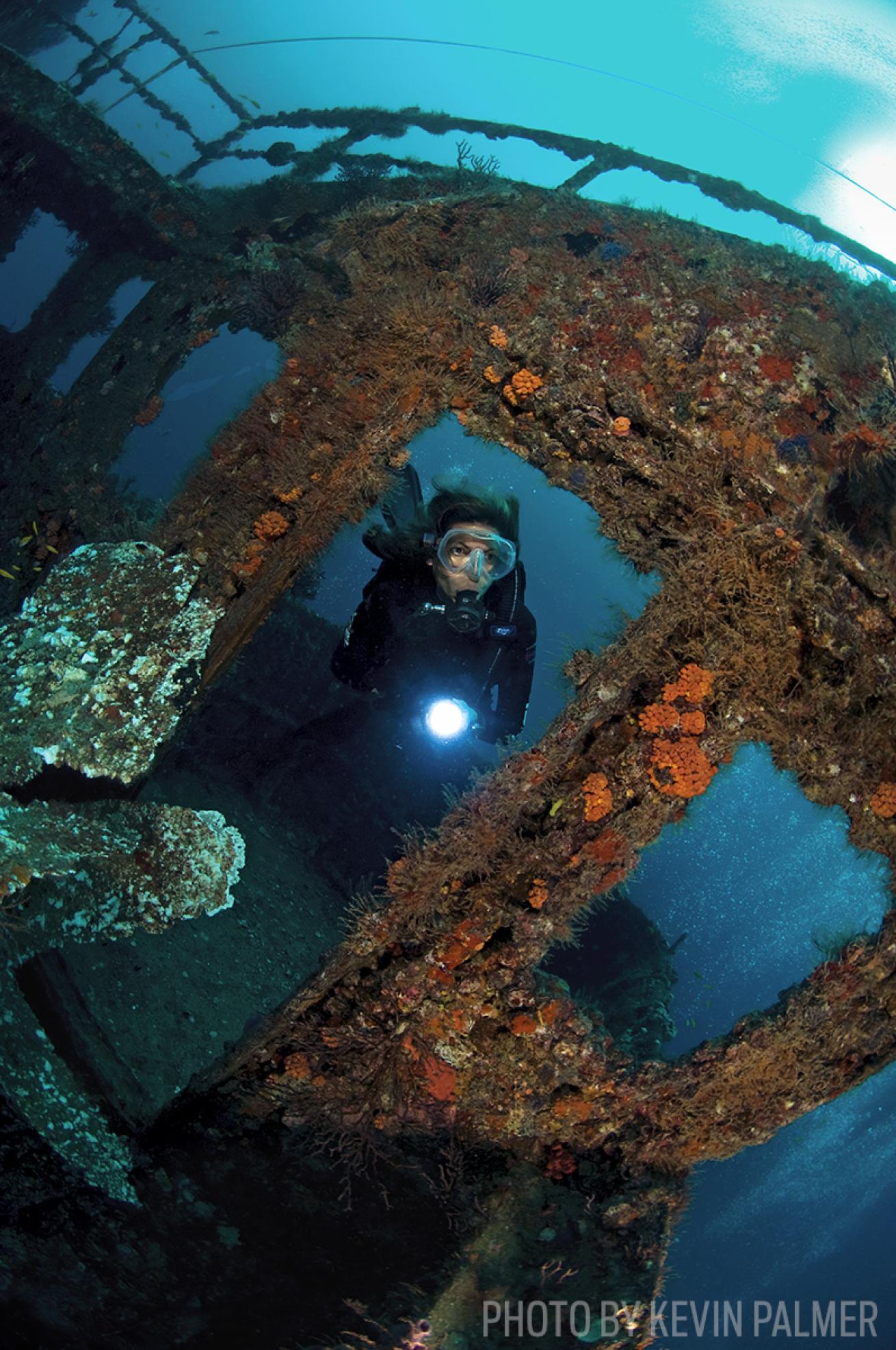 castor shipwreck scuba diving