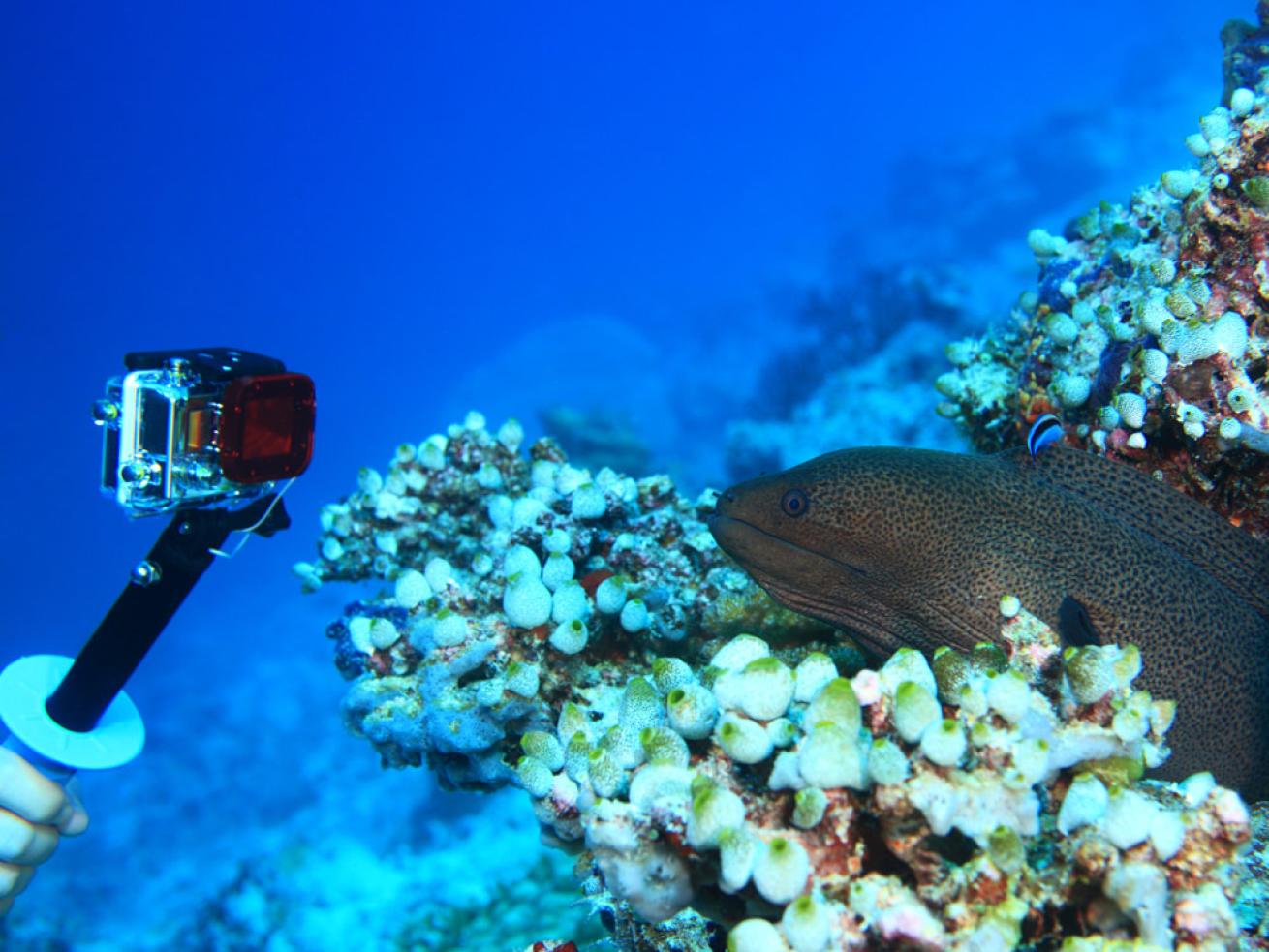 GoPro PADI