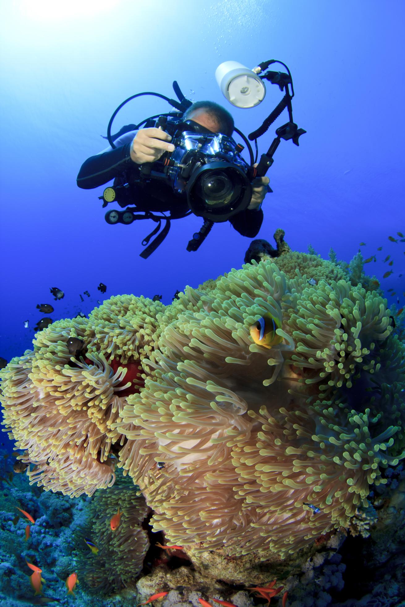taking photos underwater