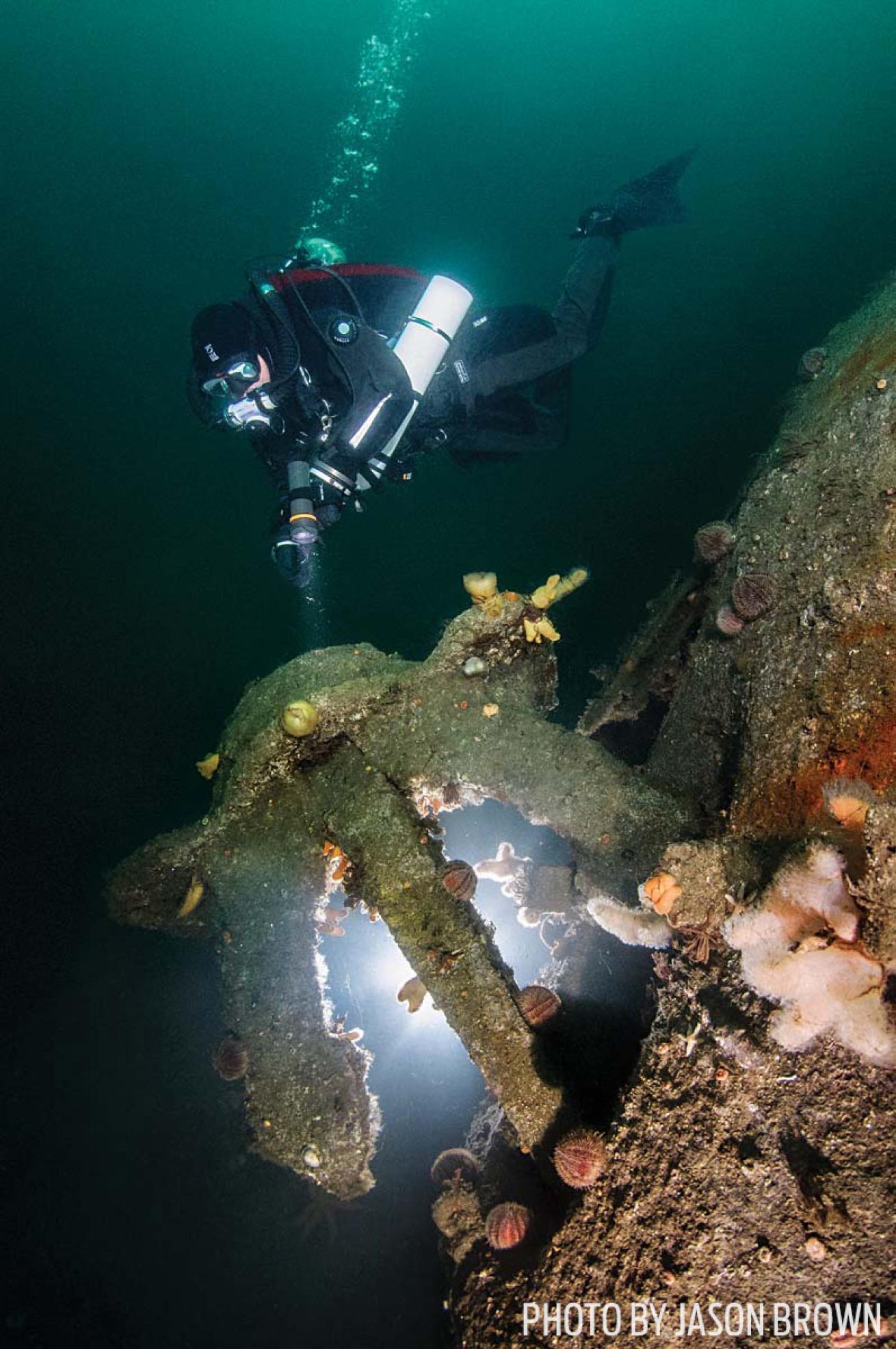 Scuba diver examining the SMS Coln in the Orkney Islands Scotland
