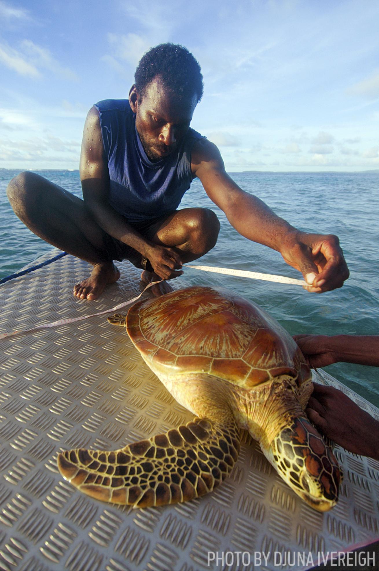 Solomon Islands ocean conservation sea turtles