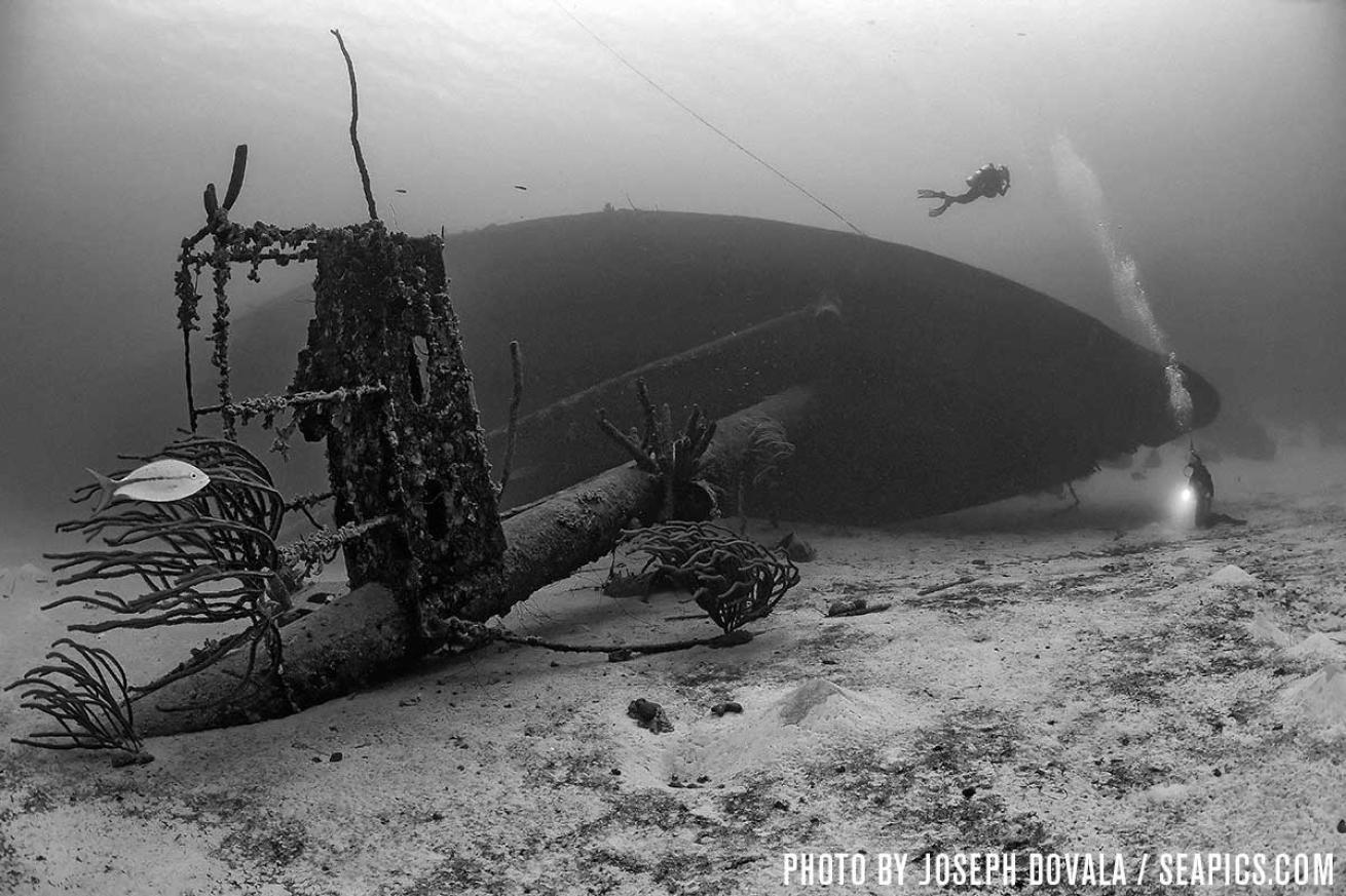 bonaire scuba diving
