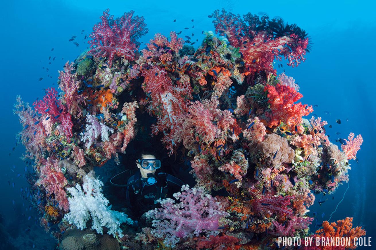 scuba diving Chuuk Lagoon