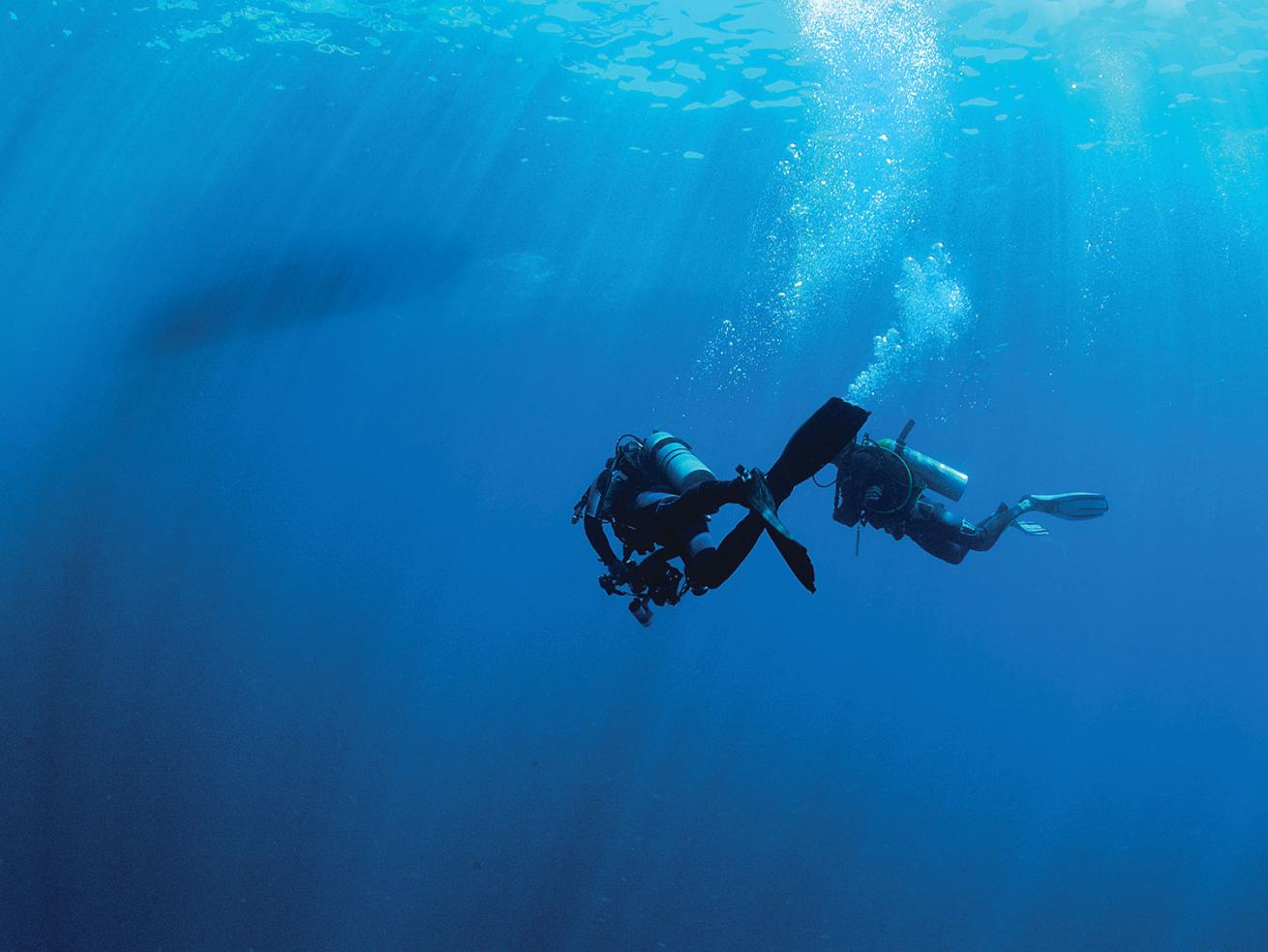 Scuba Diving what to do if you lose the dive boat