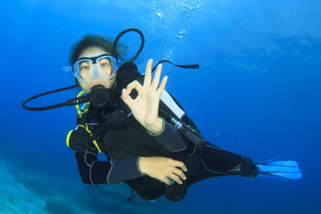 women diver hall of fame scholarship