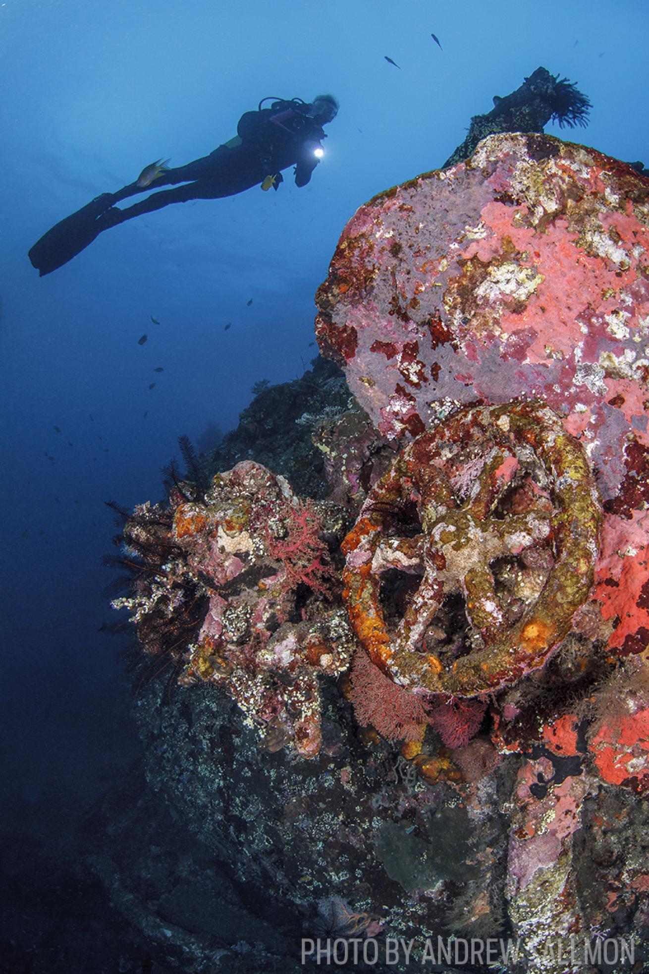 underwater photography tips