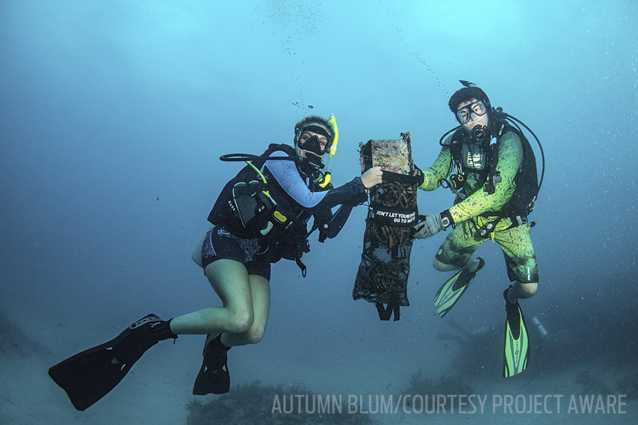 project aware PADI dive against debris hurricane irma