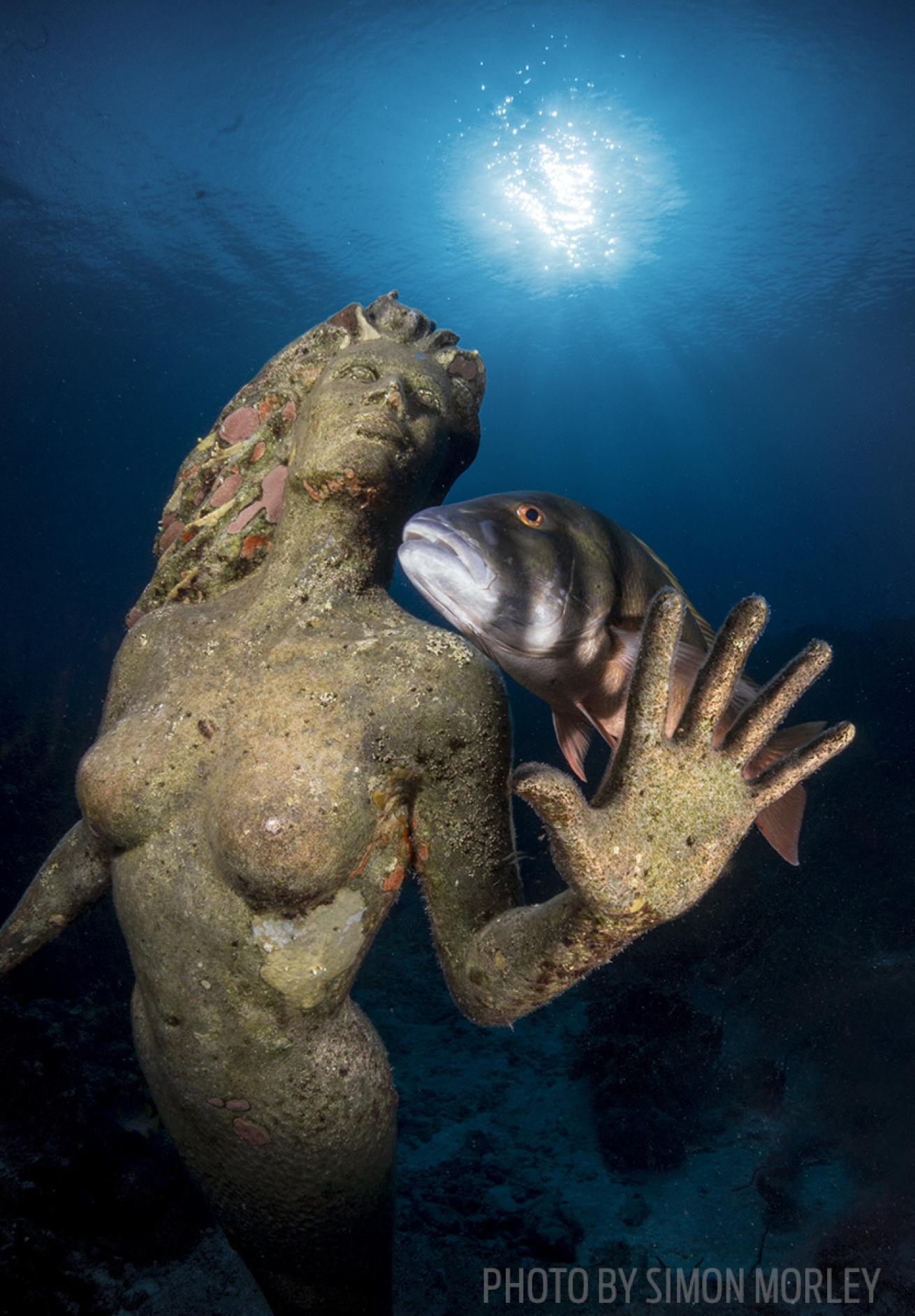 mermaid statue grand cayman