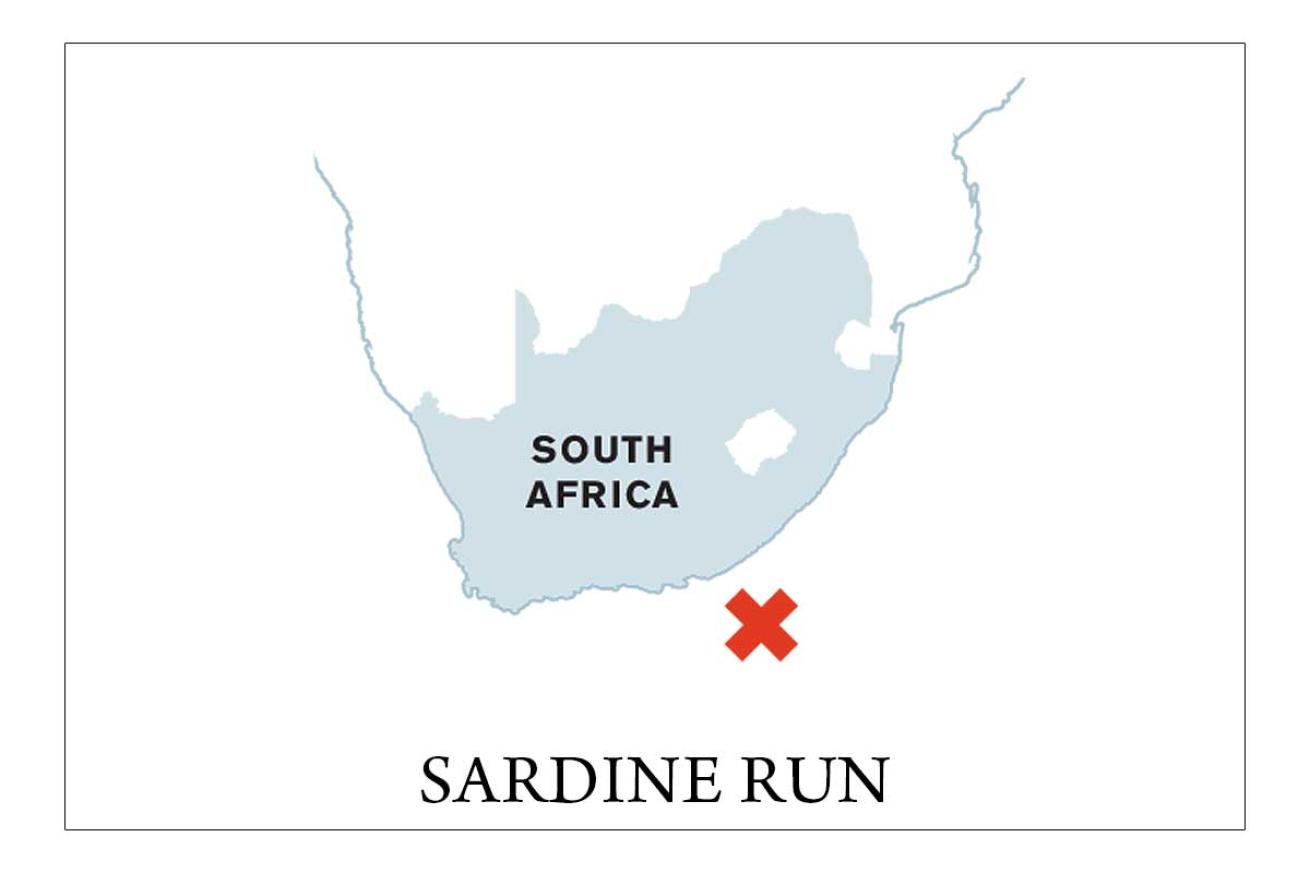 dive map south africa