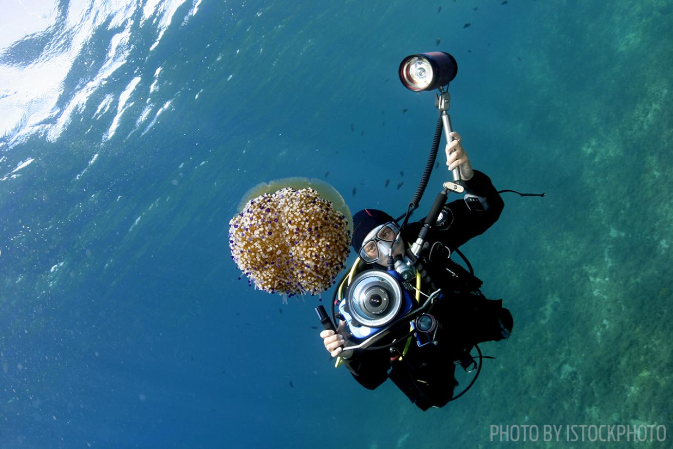 divers alert network photography safety