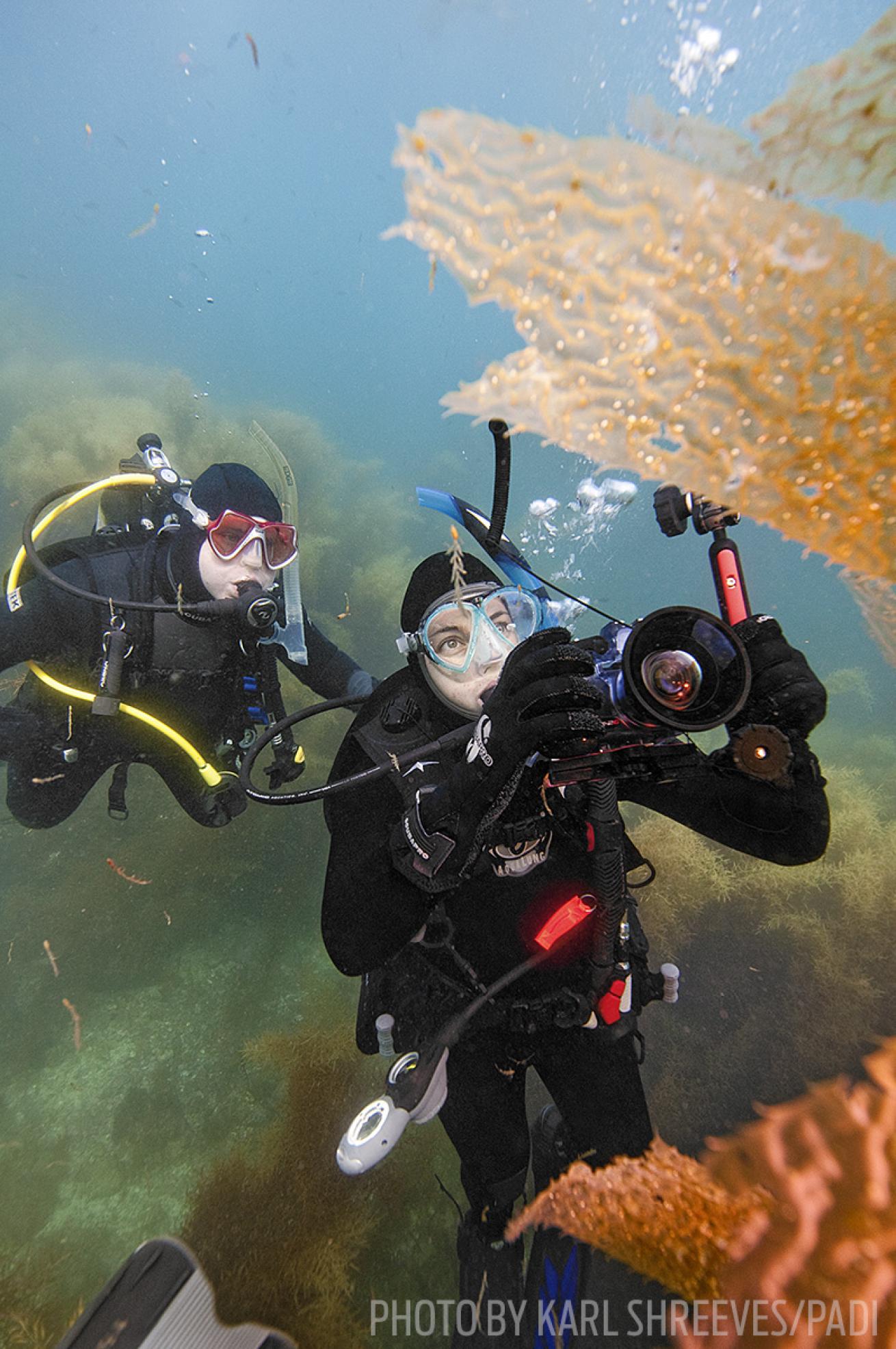 padi underwater photography