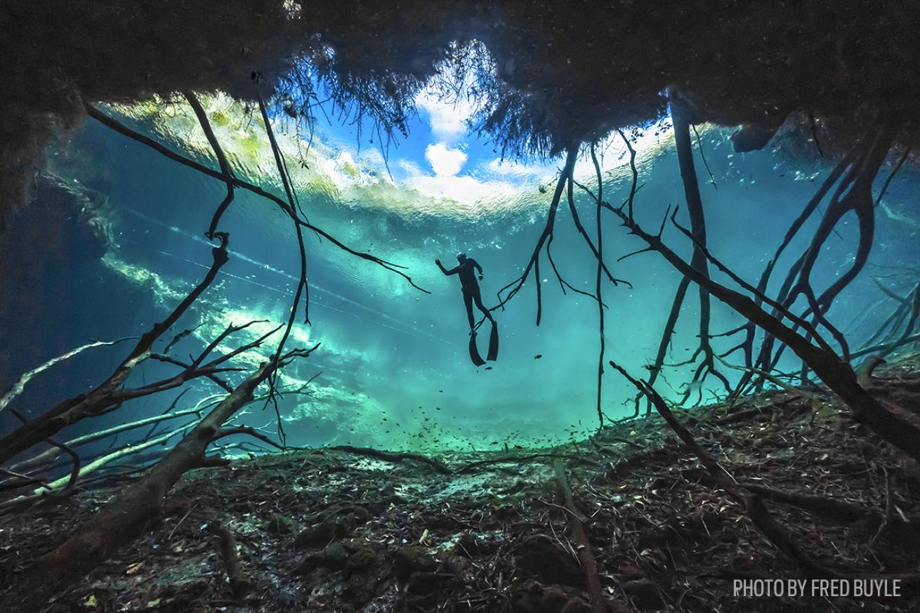 mexico cenote underwater photography