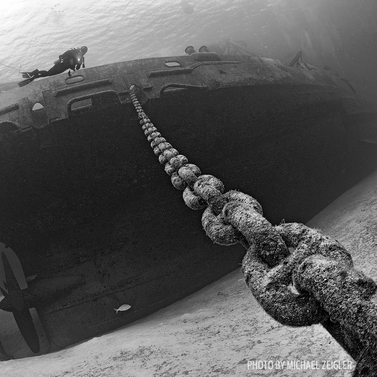 grand cayman underwater photography