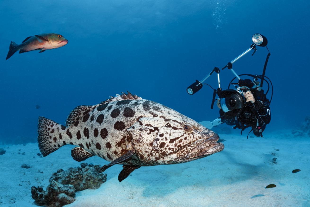 Great Barrier Reef