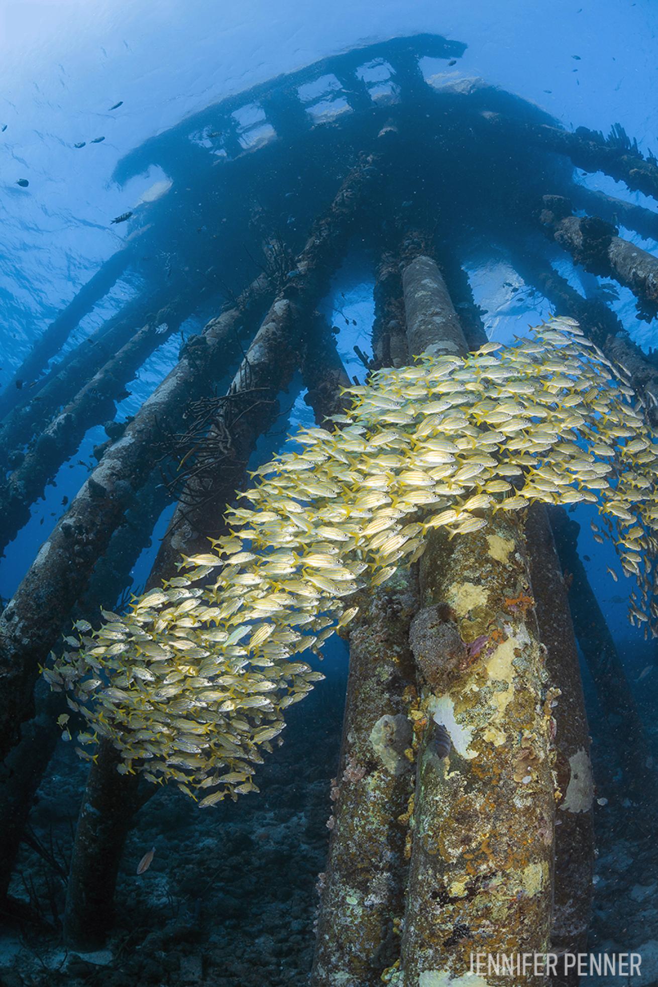 Salt Pier in Bonaire