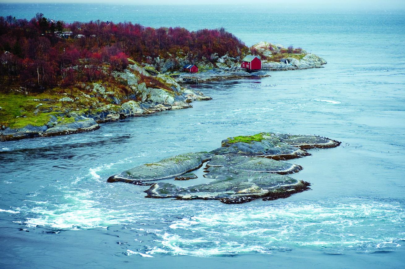 Saltstraumen Norway marine conservation