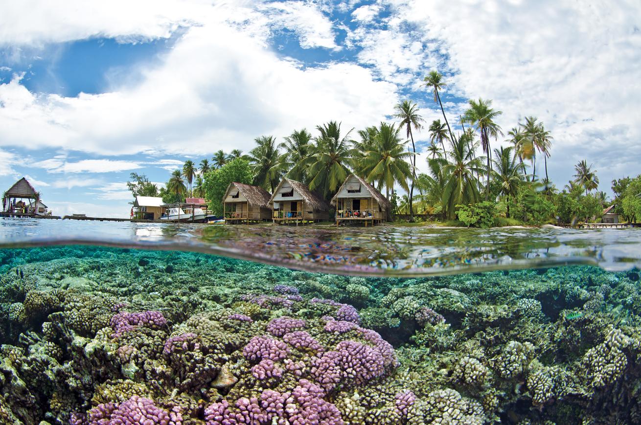 over/under Tahiti