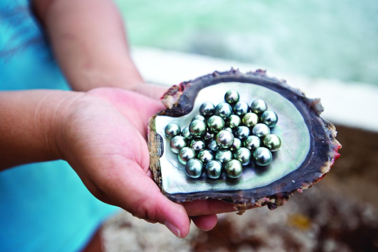 Tahitian black pearls farmed in Fakarava