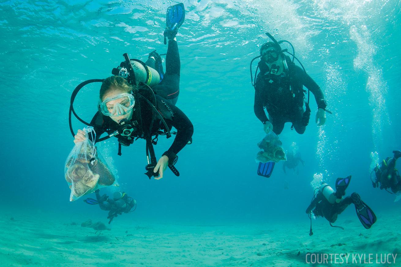 project aware marine conservation Georgia Tech bonaire