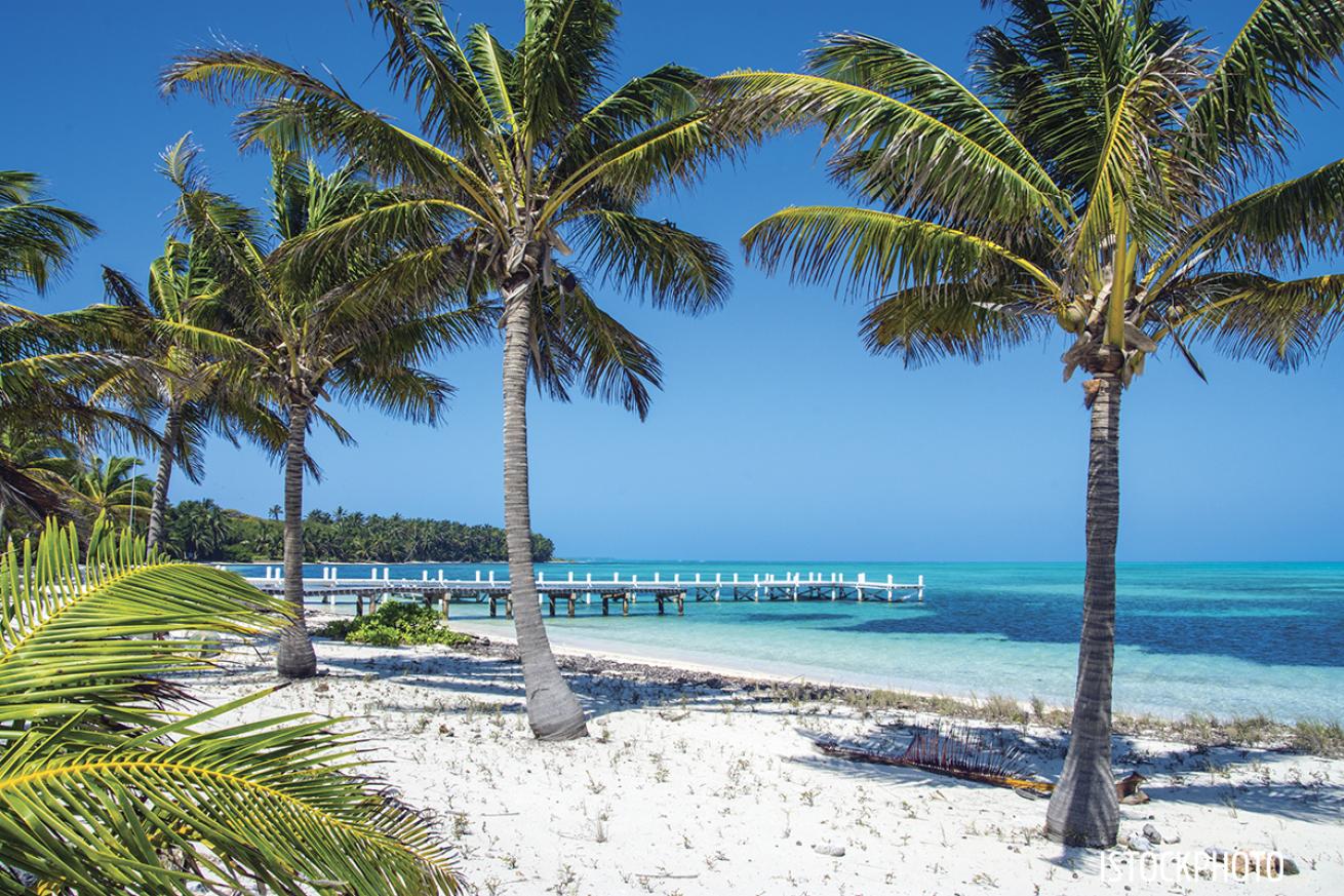 half moon caye belize lighthouse reef